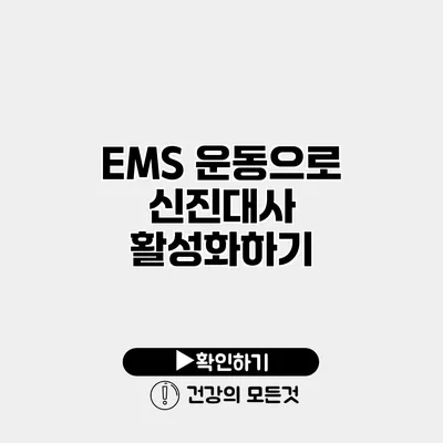 EMS 운동으로 신진대사 활성화하기