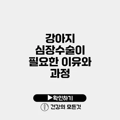강아지 심장수술이 필요한 이유와 과정