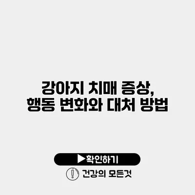 강아지 치매 증상, 행동 변화와 대처 방법