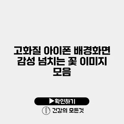 고화질 아이폰 배경화면 감성 넘치는 꽃 이미지 모음