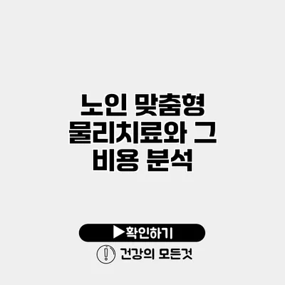 노인 맞춤형 물리치료와 그 비용 분석