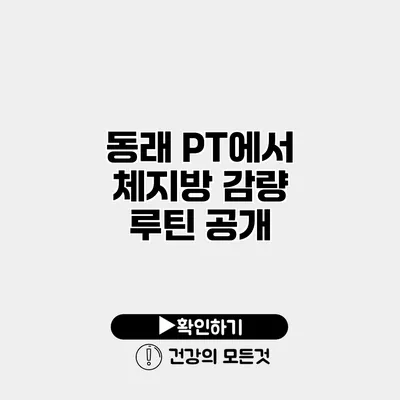 동래 PT에서 체지방 감량 루틴 공개