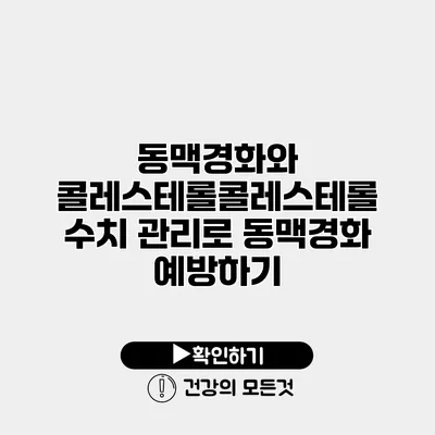 동맥경화와 콜레스테롤콜레스테롤 수치 관리로 동맥경화 예방하기