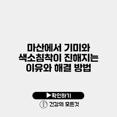 마산에서 기미와 색소침착이 진해지는 이유와 해결 방법