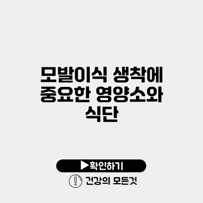 모발이식 생착에 중요한 영양소와 식단