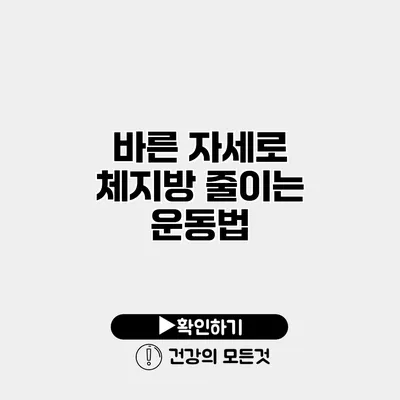 바른 자세로 체지방 줄이는 운동법