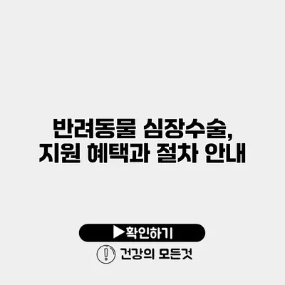 반려동물 심장수술, 지원 혜택과 절차 안내