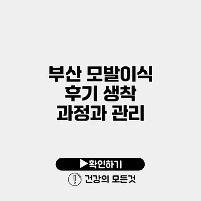 부산 모발이식 후기 생착 과정과 관리