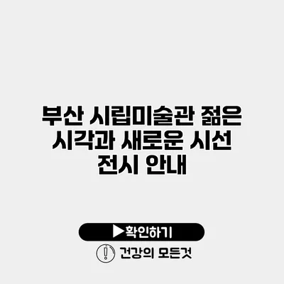 부산 시립미술관 젊은 시각과 새로운 시선 전시 안내