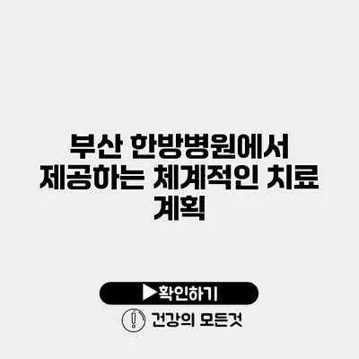 부산 한방병원에서 제공하는 체계적인 치료 계획
