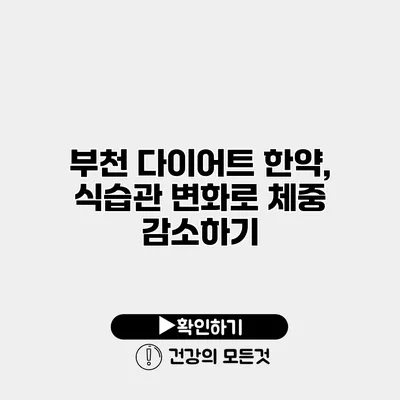 부천 다이어트 한약, 식습관 변화로 체중 감소하기