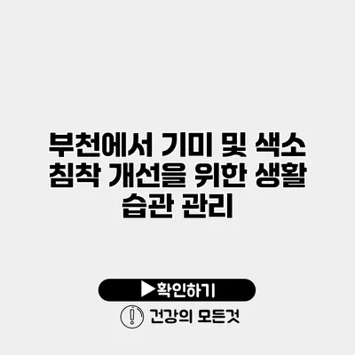 부천에서 기미 및 색소 침착 개선을 위한 생활 습관 관리