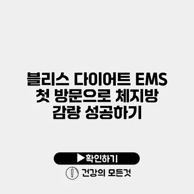 블리스 다이어트 EMS 첫 방문으로 체지방 감량 성공하기