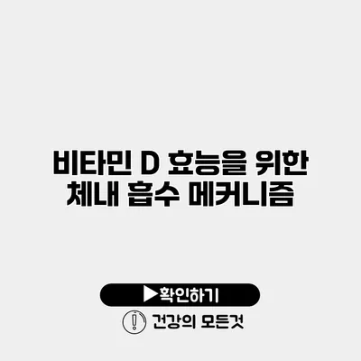 비타민 D 효능을 위한 체내 흡수 메커니즘