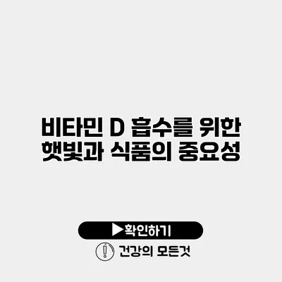 비타민 D 흡수를 위한 햇빛과 식품의 중요성