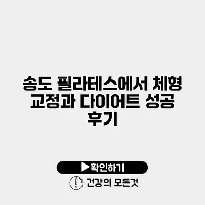 송도 필라테스에서 체형 교정과 다이어트 성공 후기