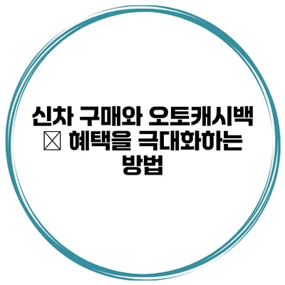 신차 구매와 오토캐시백 – 혜택을 극대화하는 방법