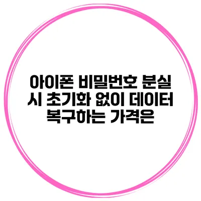 아이폰 비밀번호 분실 시 초기화 없이 데이터 복구하는 가격은?