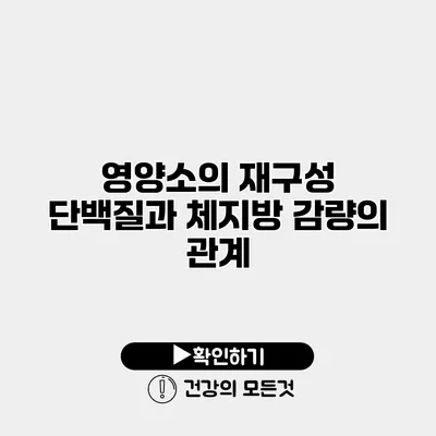 영양소의 재구성 단백질과 체지방 감량의 관계