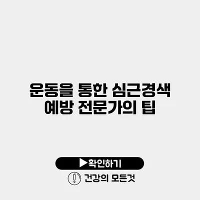 운동을 통한 심근경색 예방 전문가의 팁