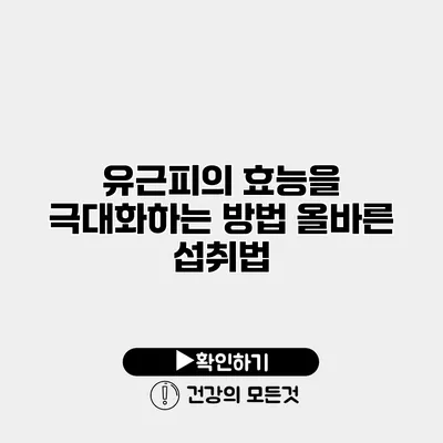 유근피의 효능을 극대화하는 방법 올바른 섭취법