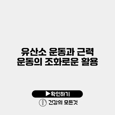 유산소 운동과 근력 운동의 조화로운 활용