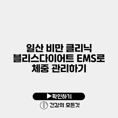 일산 비만 클리닉 블리스다이어트 EMS로 체중 관리하기