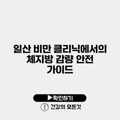일산 비만 클리닉에서의 체지방 감량 안전 가이드