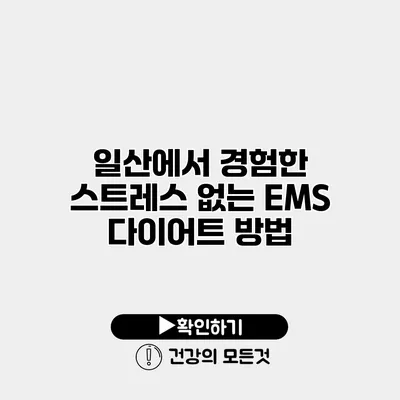 일산에서 경험한 스트레스 없는 EMS 다이어트 방법