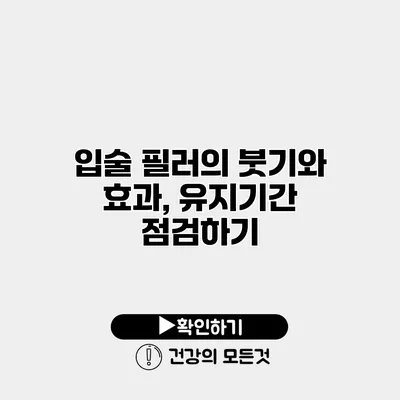 입술 필러의 붓기와 효과, 유지기간 점검하기
