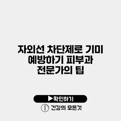 자외선 차단제로 기미 예방하기 피부과 전문가의 팁