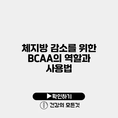 체지방 감소를 위한 BCAA의 역할과 사용법