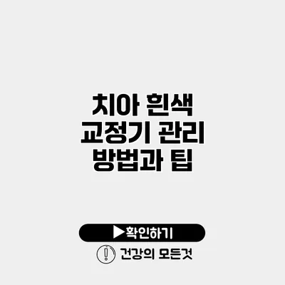 치아 흰색 교정기 관리 방법과 팁