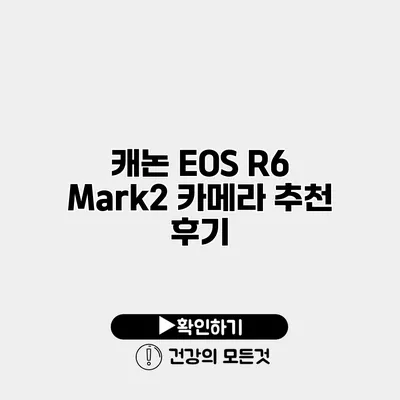 캐논 EOS R6 Mark2 카메라 추천 후기