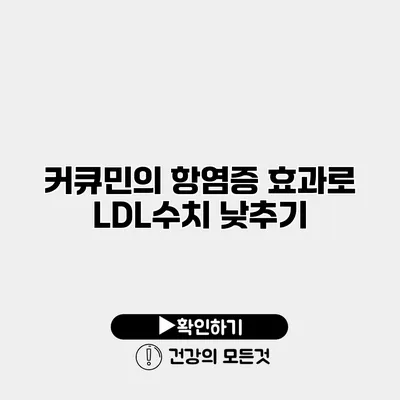 커큐민의 항염증 효과로 LDL수치 낮추기