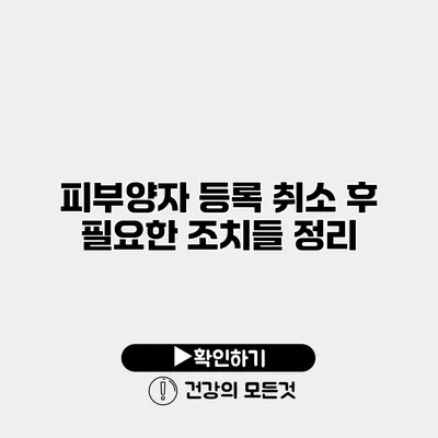 피부양자 등록 취소 후 필요한 조치들 정리