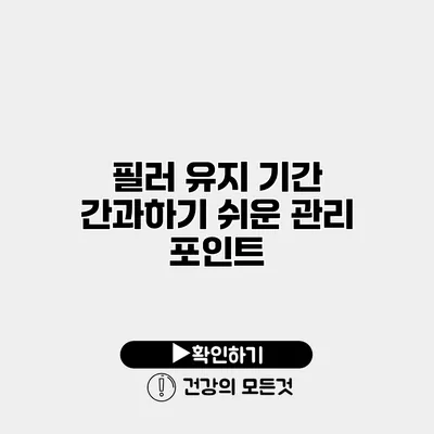필러 유지 기간 간과하기 쉬운 관리 포인트