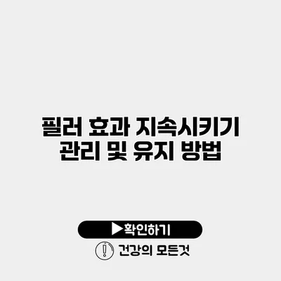 필러 효과 지속시키기 관리 및 유지 방법