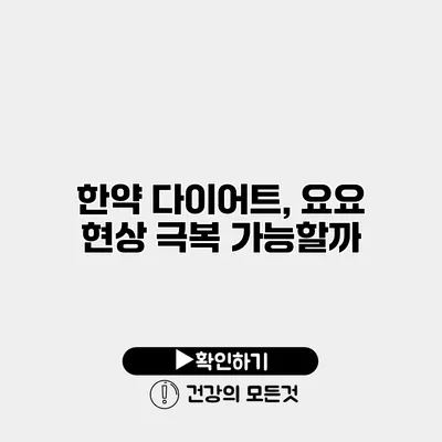 한약 다이어트, 요요 현상 극복 가능할까?