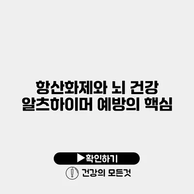 항산화제와 뇌 건강 알츠하이머 예방의 핵심