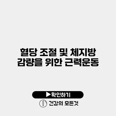 혈당 조절 및 체지방 감량을 위한 근력운동