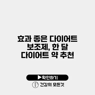 효과 좋은 다이어트 보조제, 한 달 다이어트 약 추천