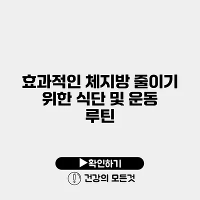 효과적인 체지방 줄이기 위한 식단 및 운동 루틴