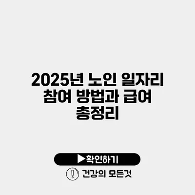 2025년 노인 일자리 참여 방법과 급여 총정리