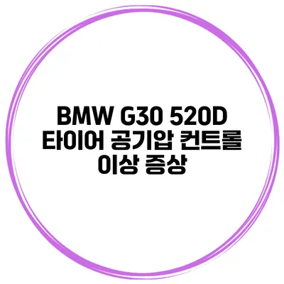BMW G30 520D: 타이어 공기압 컨트롤 이상 증상