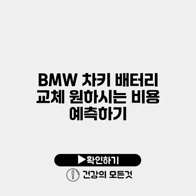 BMW 차키 배터리 교체 원하시는 비용 예측하기