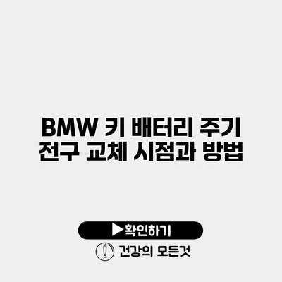 BMW 키 배터리 주기 전구 교체 시점과 방법