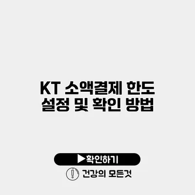 KT 소액결제 한도 설정 및 확인 방법