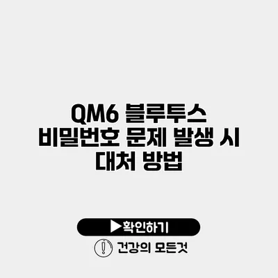 QM6 블루투스 비밀번호 문제 발생 시 대처 방법