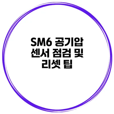 SM6 공기압 센서 점검 및 리셋 팁